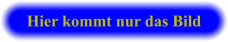 Hier kommt nur das Bild